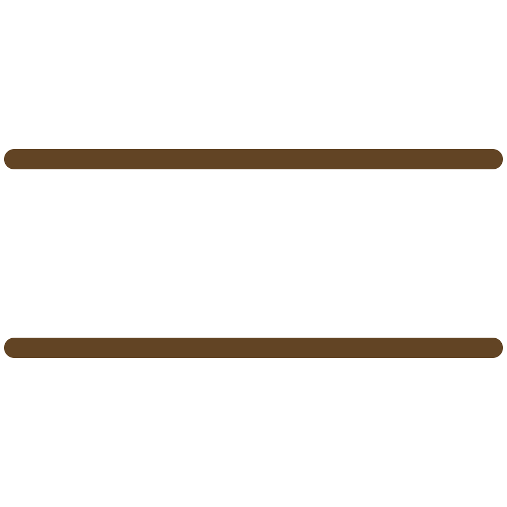 Burger Icon